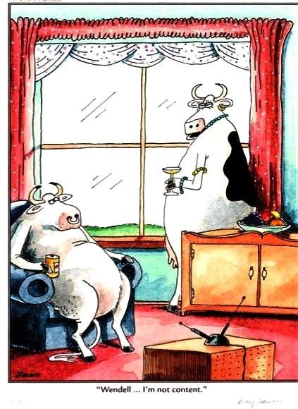 Not A Contented Cow Lithograph Print Lithograph The Far Side