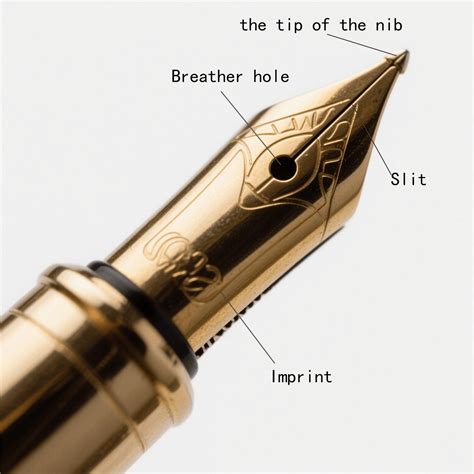How Does a Fountain Pen Work - ttxpens