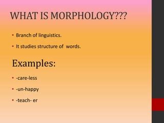 what is morphology? | PPT