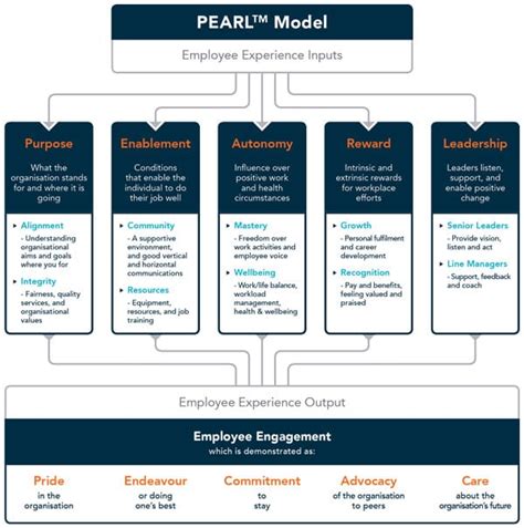 Employee Experience Vs Employee Engagement People Insight