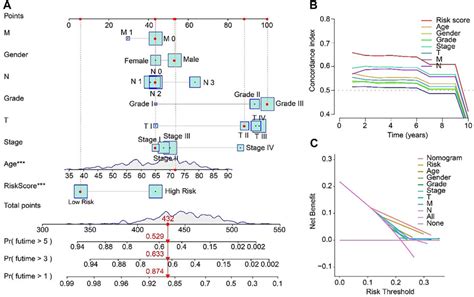 Frontiers Construction Of Anoikis Related Lncrnas Risk Model Predicts Prognosis And