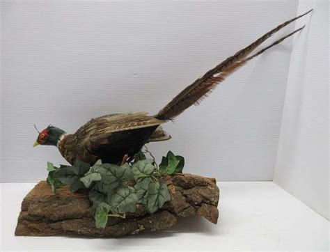 Faux Pheasant Mount On Log 16”w Shows Wear Albrecht Auction Service