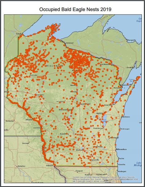 Eagles In Wisconsin Wisconsin Dnr