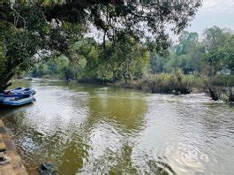 Guide To The Dubare Elephant Camp In Coorg