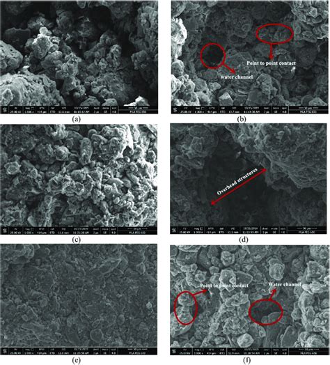 The Surface Morphology Of Compacted Loess Before And After