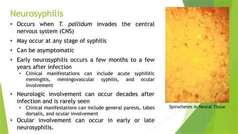 Laboratory Diagnosis Of Syphilis Ppt