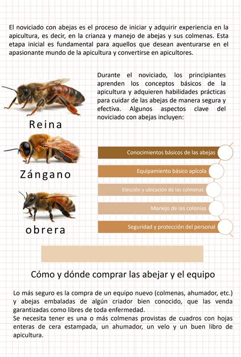 SOLUTION: Temas variados de apicultura powerpoint - Studypool 