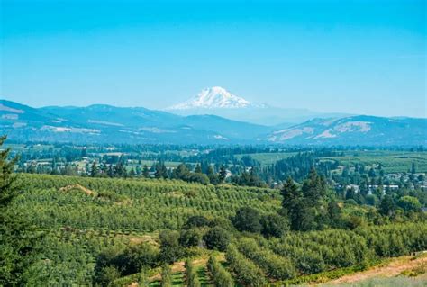 The Best Stops On The Hood River Fruit Loop A Complete Guide