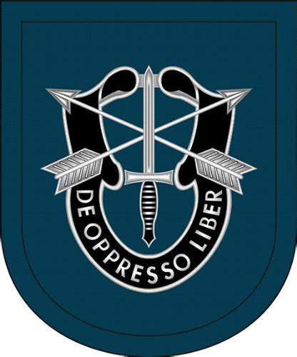 Amazon Us Army Th Special Forces Group Airborne Flash Vinyl