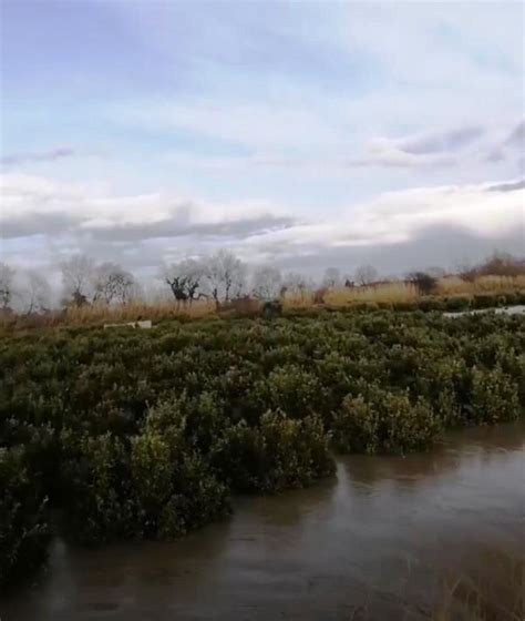 Paura In Calabria Il Fiume Crati Ha Rotto Gli Argini Numerosi Danni