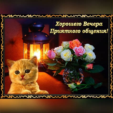 Добрый Вечер Картинки Гифки Прикольные - 67 фото