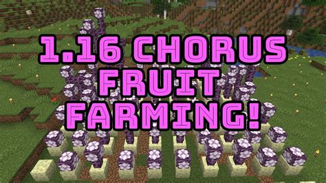 How To Farm Chorus Fruit Farm Mania