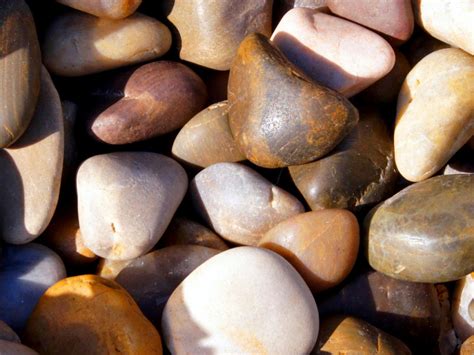 How to Use Rocks in Your Landscape | Landscaping Ideas and Hardscape ...