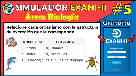 Simulador Oficial Exani Ii Rea Biolog A Ejercicio Relacione