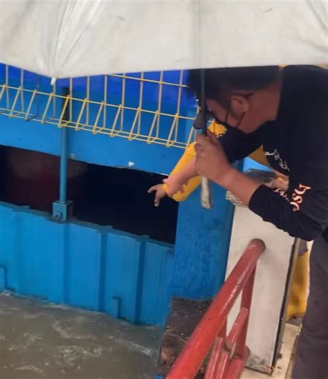 Palembang Banjir Ini Penyebab Menurut Gubernur Sumsel