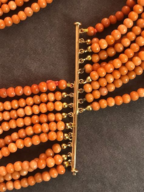 Proantic Coral Dog Collar
