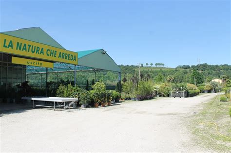 Realizzazione Giardini Mantova Mn Realizzazione Giardini Lago Di