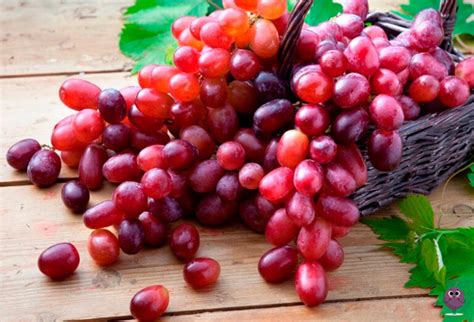 Uvas propiedades y beneficios para la salud Fruta Pasión