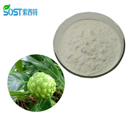 Specialized Factory Supply 100 Pure Supplement Noni Juice Powder