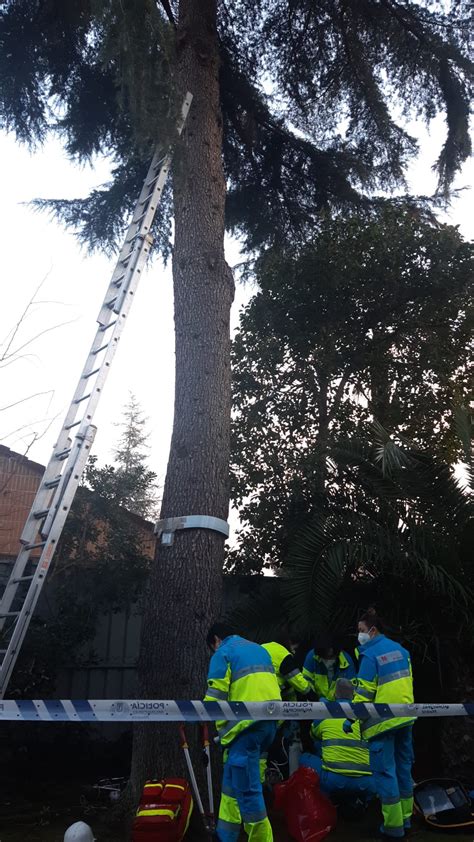 Muere un jardinero de 55 años al caerse desde 10 metros de altura