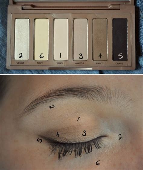 Naked Basics Palette Eye Makeup Steps Eye Makeup Makeup Inspiration