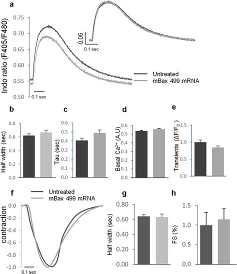 Physiological Analysis Of Hescs Cms Treated With Mbax 499 Mrna Download Scientific Diagram