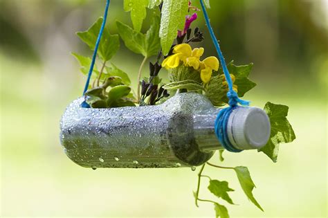 Upcycled Plastic Bottle Plant Pot World Of Better Learning Cambridge