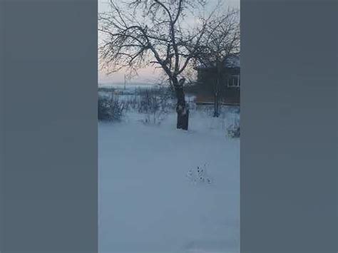 первая зима дома. присвоили адрес ура!!! - YouTube