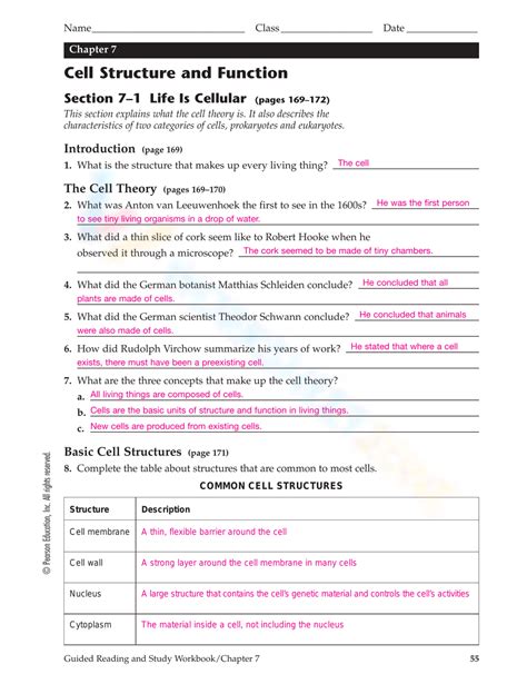 Free Cell Structure And Function Worksheet Collection