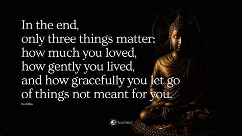 Wise Quotes About Life And Love From Buddha Power Of Positivity