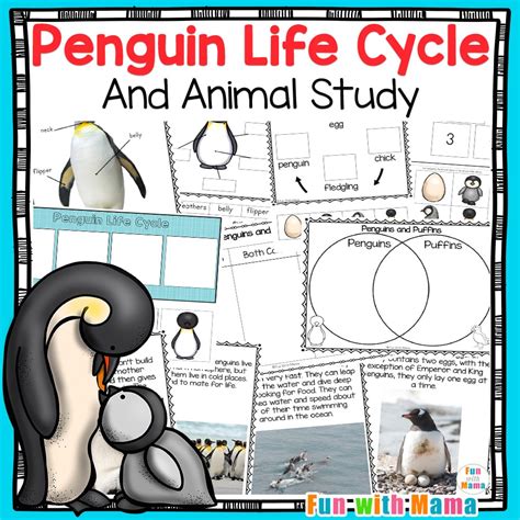 Penguin Life Cycle - Fun with Mama