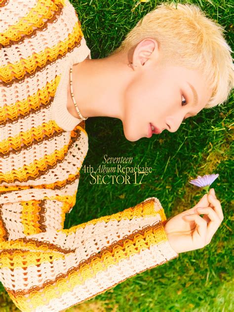 Look Seventeen Reveals Sector Official Photo Kpopstarz