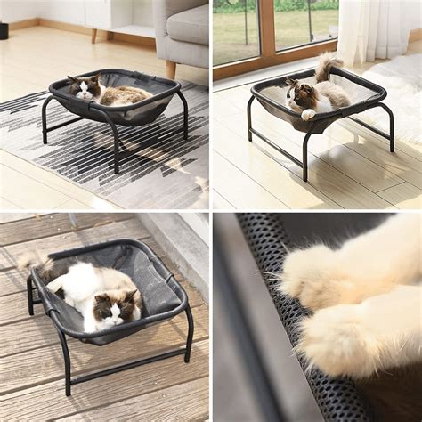 Elevating Your Cats Naptime The Best 7 Elevated Cat Beds