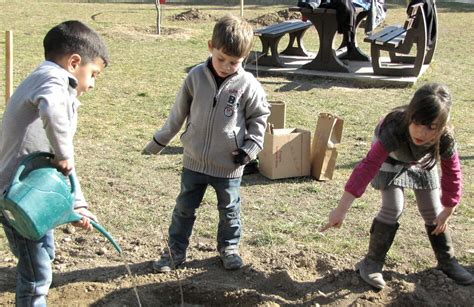 Vaison La Romaine Les Enfants D Couvrent Les Arbres Avec La Courte