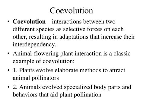 Ppt Lecture 13 Pollination Powerpoint Presentation Free Download Id1625027