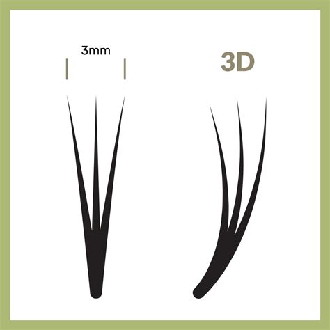 3D Eyelash Extension – Kimiyo G Beauty