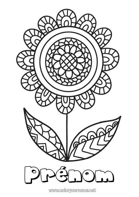 Coloriage N°1138 Fleurs Mandala Bonne Fête