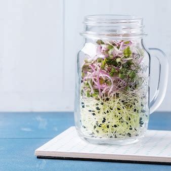 Premium Photo | Fresh sprouts in mason jar