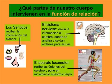 La Función De Relación Blog De Carmen Rosa Navarro