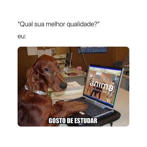 Qual Sua Melhor Qualidade Eu Gosto De Estudar Memes