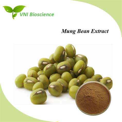 Kosher Halal Certified 100 Natural Mung Bean Extract China Mung Bean