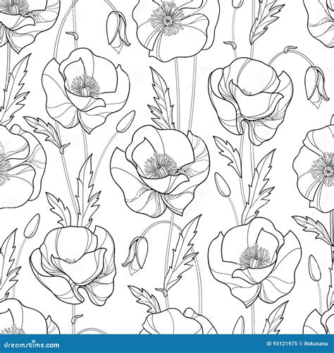 Vector Seamless Pattern With Outline Poppy Flower Bud And Leaves In