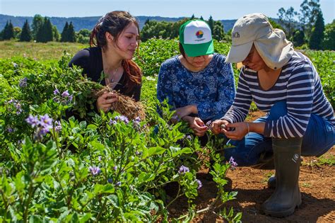 Mujeres L Deres Historia Y Aportes En El Rea Agroalimentaria