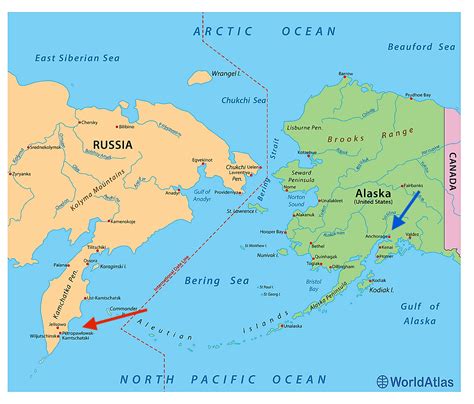 Kamchatka Brown Bears And Volcanos On The Far Side Of The Earth