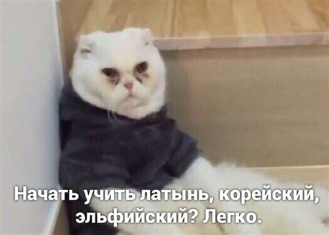 Бессонница | Пикабу