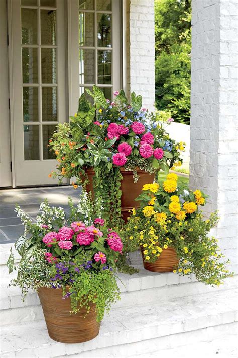 12 Plants That Were Made For Sun-Drenched Porches