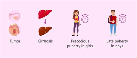 What happens when estrogen levels are elevated?