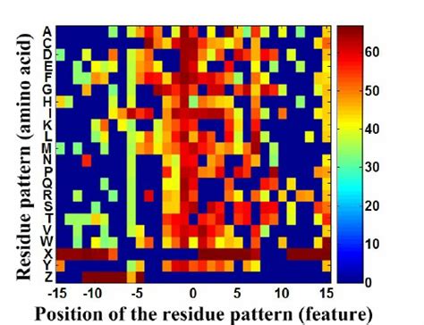 Selection Of Relevant Residue Patterns RS126 Dataset The Relevance