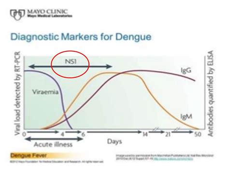 Pemeriksaan Ns Untuk Diagnosis Demam Berdarah Dengue Patologi Klinik