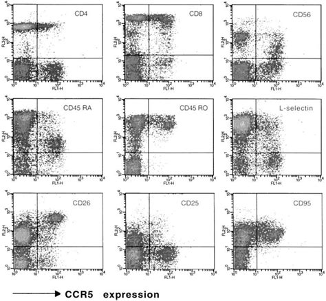 Ccr5 Expression On Various Populations Of Blood Lymphocytes A